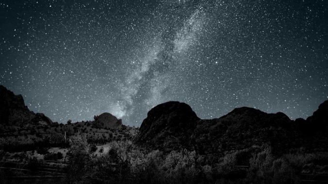 普洱茶投资分析:如何打好“预售”这张牌